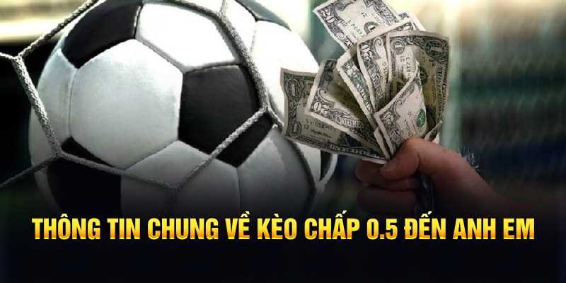 Kèo Chấp 0.5 - Hướng Dẫn Cách Bắt Kèo Ăn Đậm Thắng Lớn 5 Thông tin chung về kèo chấp 0.5 đến anh em